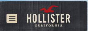 What are some types of Hollister coupons?